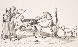 Gevecht tussen paard en honden, reproductie van miniatuur in een 13e-eeuws manuscript, uit 